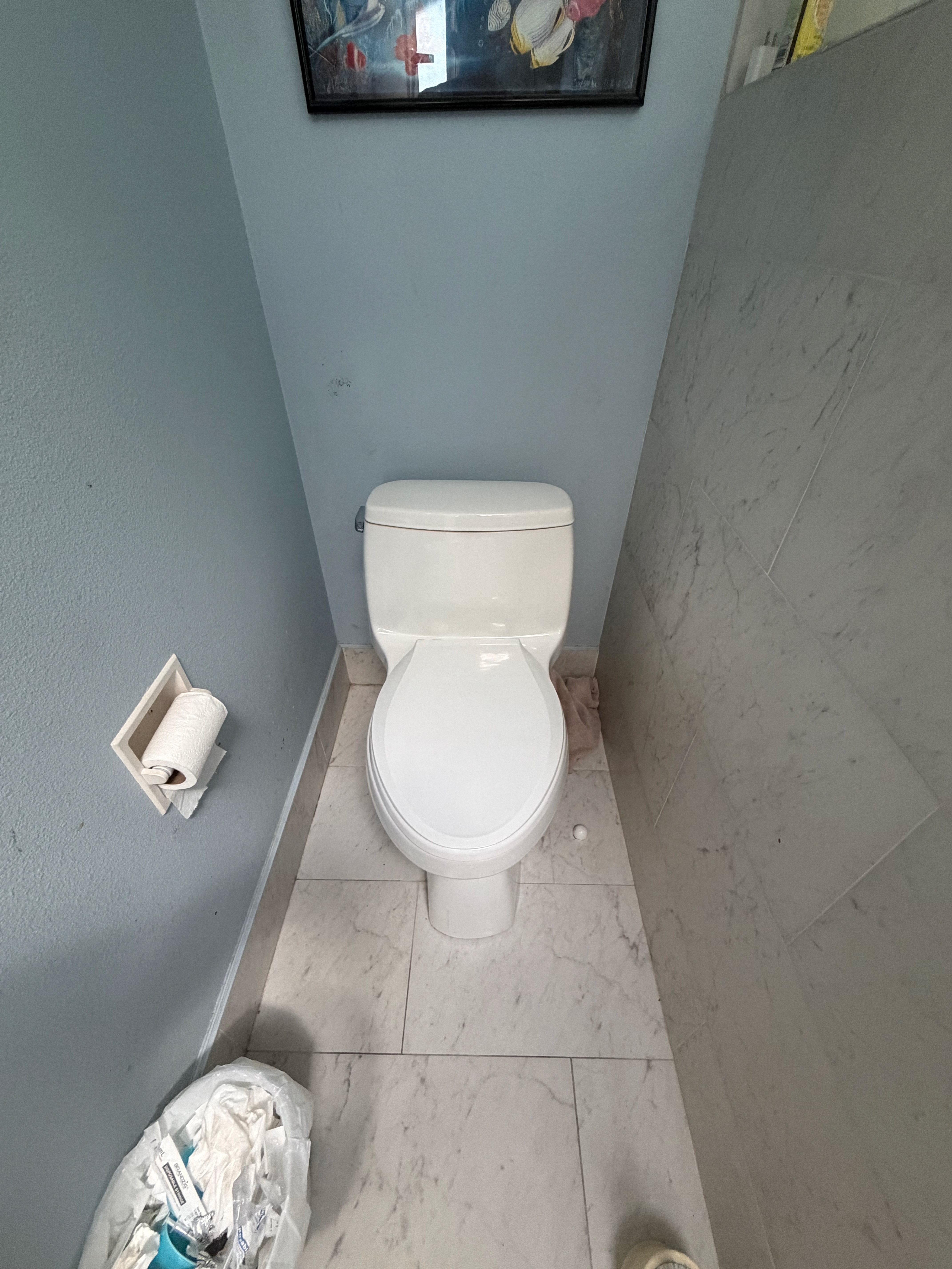 Old toilet before replacement